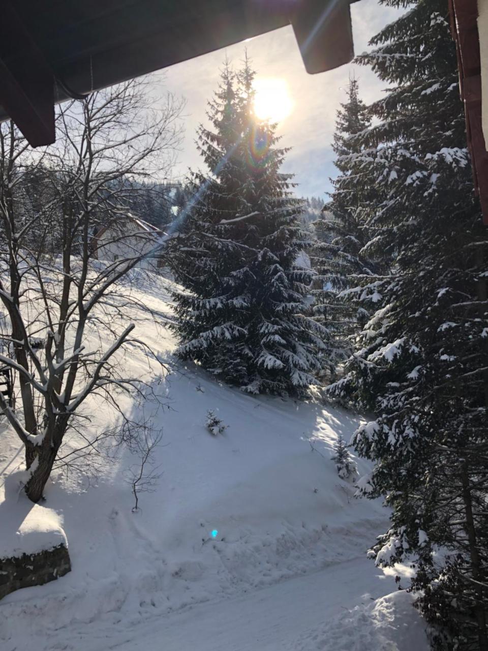 Apartamento Stara Bacija Kopaonik Exterior foto