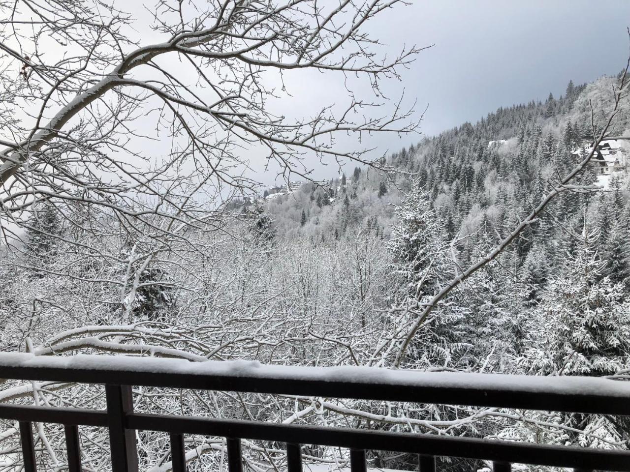 Apartamento Stara Bacija Kopaonik Exterior foto